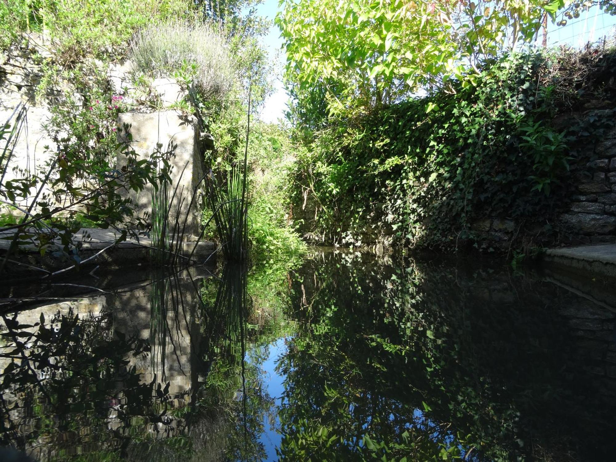 Gîtes Rose des Sables Surtainville Extérieur photo