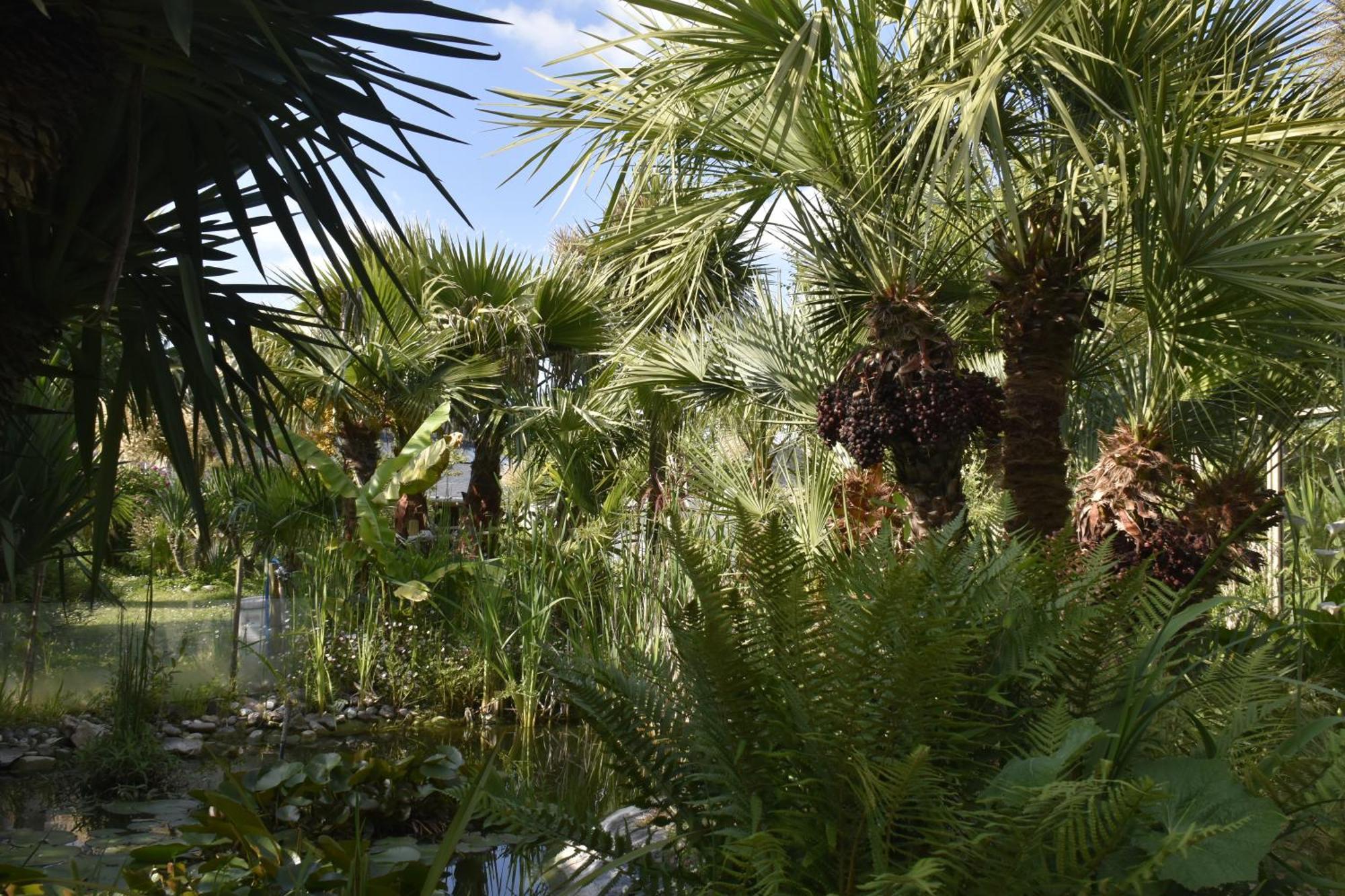 Gîtes Rose des Sables Surtainville Extérieur photo
